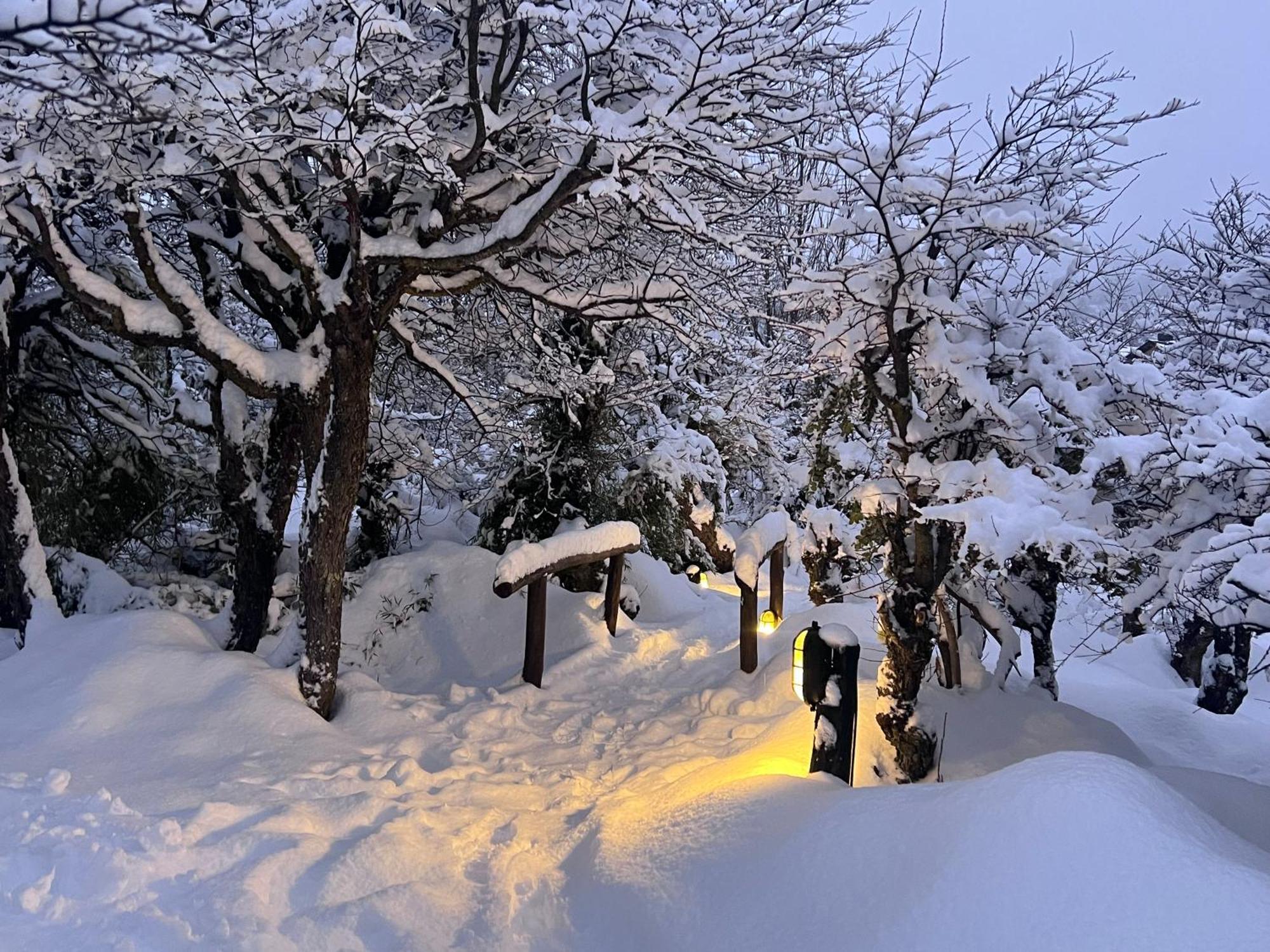 Los Nires Lodge Cerro Catedral Bariloche Buitenkant foto